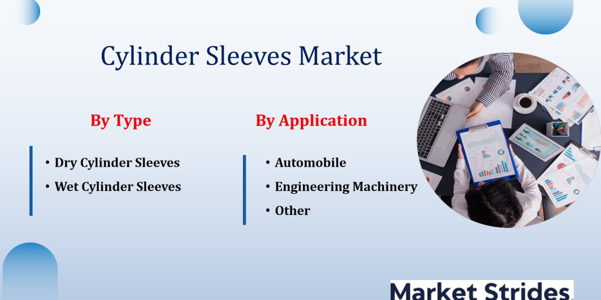 Cylinder Sleeves Market Forecast: What Are the Key Drivers and Trends Shaping Growth Through 2033?